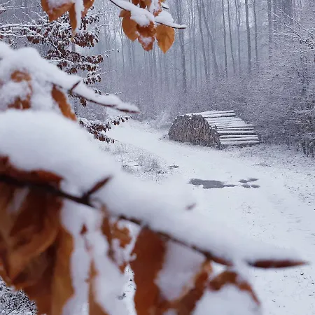 Britta Kietzmann 아파트 펠트베르크