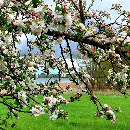 Appartement Britta Kietzmann Feldberger Seenlandschaft